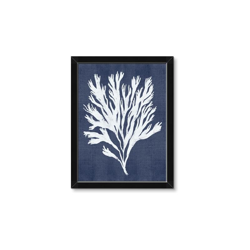 Picture of Navy Coral II  _GroupedProduct_Rectangle_Portrait_Framed_Matted_