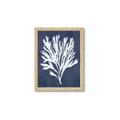 Picture of Navy Coral II  _GroupedProduct_Rectangle_Portrait_Framed_Matted_