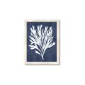Picture of Navy Coral II  _GroupedProduct_Rectangle_Portrait_Framed_Matted_