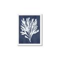 Picture of Navy Coral II  _GroupedProduct_Rectangle_Portrait_Framed_Matted_