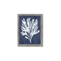 Picture of Navy Coral II  _GroupedProduct_Rectangle_Portrait_Framed_Matted_