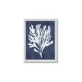 Picture of Navy Coral II  _GroupedProduct_Rectangle_Portrait_Framed_Matted_