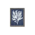 Picture of Navy Coral II  _GroupedProduct_Rectangle_Portrait_Framed_Matted_
