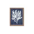 Picture of Navy Coral II  _GroupedProduct_Rectangle_Portrait_Framed_Matted_