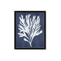 Picture of Navy Coral II  _GroupedProduct_Rectangle_Portrait_Framed_Matted_