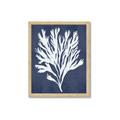 Picture of Navy Coral II  _GroupedProduct_Rectangle_Portrait_Framed_Matted_