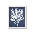 Picture of Navy Coral II  _GroupedProduct_Rectangle_Portrait_Framed_Matted_
