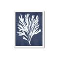 Picture of Navy Coral II  _GroupedProduct_Rectangle_Portrait_Framed_Matted_