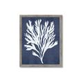 Picture of Navy Coral II  _GroupedProduct_Rectangle_Portrait_Framed_Matted_