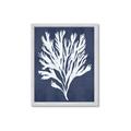 Picture of Navy Coral II  _GroupedProduct_Rectangle_Portrait_Framed_Matted_