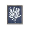 Picture of Navy Coral II  _GroupedProduct_Rectangle_Portrait_Framed_Matted_