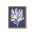 Picture of Navy Coral II  _GroupedProduct_Rectangle_Portrait_Framed_Matted_