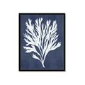 Picture of Navy Coral II  _GroupedProduct_Rectangle_Portrait_Framed_Matted_