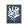 Picture of Navy Coral II  _GroupedProduct_Rectangle_Portrait_Framed_Matted_