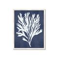 Picture of Navy Coral II  _GroupedProduct_Rectangle_Portrait_Framed_Matted_
