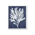 Picture of Navy Coral II  _GroupedProduct_Rectangle_Portrait_Framed_Matted_