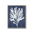 Picture of Navy Coral II  _GroupedProduct_Rectangle_Portrait_Framed_Matted_