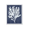 Picture of Navy Coral II  _GroupedProduct_Rectangle_Portrait_Framed_Matted_