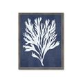 Picture of Navy Coral II  _GroupedProduct_Rectangle_Portrait_Framed_Matted_