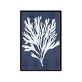 Picture of Navy Coral II  _GroupedProduct_Rectangle_Portrait_Framed_Matted_
