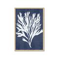 Picture of Navy Coral II  _GroupedProduct_Rectangle_Portrait_Framed_Matted_