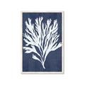 Picture of Navy Coral II  _GroupedProduct_Rectangle_Portrait_Framed_Matted_