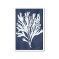 Picture of Navy Coral II  _GroupedProduct_Rectangle_Portrait_Framed_Matted_