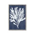 Picture of Navy Coral II  _GroupedProduct_Rectangle_Portrait_Framed_Matted_