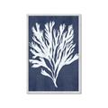 Picture of Navy Coral II  _GroupedProduct_Rectangle_Portrait_Framed_Matted_