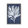 Picture of Navy Coral II  _GroupedProduct_Rectangle_Portrait_Framed_Matted_