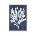 Picture of Navy Coral II  _GroupedProduct_Rectangle_Portrait_Framed_Matted_