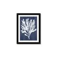 Picture of Navy Coral II  _GroupedProduct_Rectangle_Portrait_Framed_Matted_
