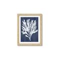 Picture of Navy Coral II  _GroupedProduct_Rectangle_Portrait_Framed_Matted_