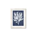 Picture of Navy Coral II  _GroupedProduct_Rectangle_Portrait_Framed_Matted_