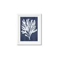 Picture of Navy Coral II  _GroupedProduct_Rectangle_Portrait_Framed_Matted_