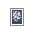 Picture of Navy Coral II  _GroupedProduct_Rectangle_Portrait_Framed_Matted_