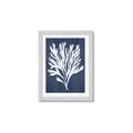 Picture of Navy Coral II  _GroupedProduct_Rectangle_Portrait_Framed_Matted_