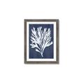 Picture of Navy Coral II  _GroupedProduct_Rectangle_Portrait_Framed_Matted_