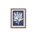 Picture of Navy Coral II  _GroupedProduct_Rectangle_Portrait_Framed_Matted_