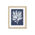 Picture of Navy Coral II  _GroupedProduct_Rectangle_Portrait_Framed_Matted_