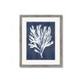 Picture of Navy Coral II  _GroupedProduct_Rectangle_Portrait_Framed_Matted_