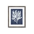 Picture of Navy Coral II  _GroupedProduct_Rectangle_Portrait_Framed_Matted_