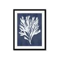 Picture of Navy Coral II  _GroupedProduct_Rectangle_Portrait_Framed_Matted_