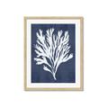 Picture of Navy Coral II  _GroupedProduct_Rectangle_Portrait_Framed_Matted_