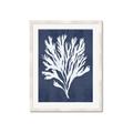 Picture of Navy Coral II  _GroupedProduct_Rectangle_Portrait_Framed_Matted_