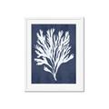 Picture of Navy Coral II  _GroupedProduct_Rectangle_Portrait_Framed_Matted_