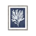 Picture of Navy Coral II  _GroupedProduct_Rectangle_Portrait_Framed_Matted_