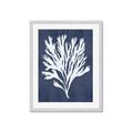 Picture of Navy Coral II  _GroupedProduct_Rectangle_Portrait_Framed_Matted_