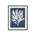 Picture of Navy Coral II  _GroupedProduct_Rectangle_Portrait_Framed_Matted_
