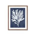 Picture of Navy Coral II  _GroupedProduct_Rectangle_Portrait_Framed_Matted_